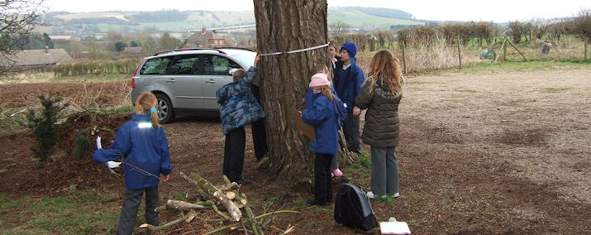 Tree Measuring